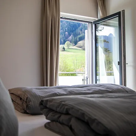 Apartment Steinach